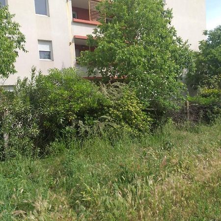 Le Nomade, Parc Montcalm Et Stationnement Prive Apartment Montpellier Exterior photo